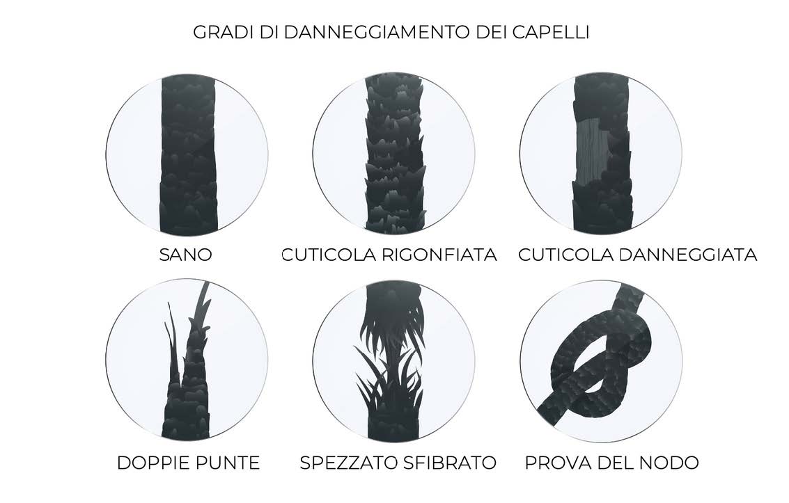 Multicare ITA (2) (1) - 2