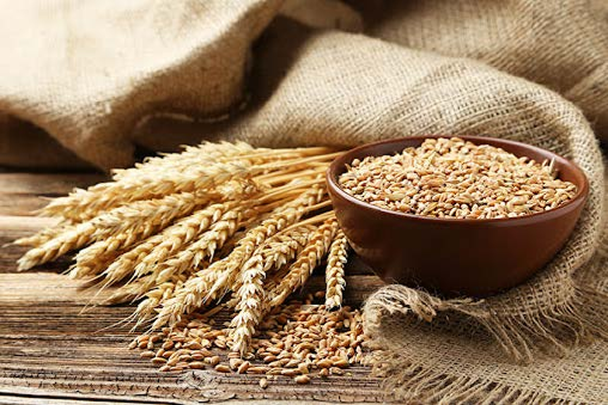 hairtium proteine grano